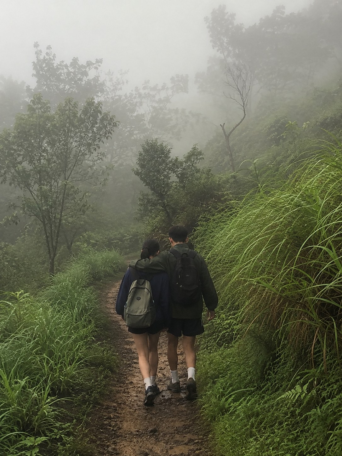 Two hikers on a misty overgrown trail